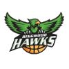 https://img.heibaitiyu.cn/img/basketball/team/2b1e4d737f0d418d905ed896d80dea4b.png