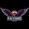 https://img.heibaitiyu.cn/img/basketball/team/3a044a7923705a05bb74b332f66cc37a.png