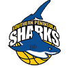 https://img.heibaitiyu.cn/img/basketball/team/4e86af87d5374d18915264b3323b4530.png