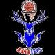 https://img.heibaitiyu.cn/img/basketball/team/8d227b3823147bb0232df07807cb473a.png