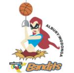 https://img.heibaitiyu.cn/img/basketball/team/94924f5dc023c67962792990c924e9ec.png