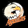 https://img.heibaitiyu.cn/img/basketball/team/b194f85a50ad43e5917f5f73f0fad835.png