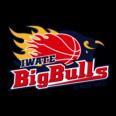 https://img.heibaitiyu.cn/img/basketball/team/bcb478f91fa9177647848bc08ccc209c.png