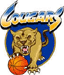 https://img.heibaitiyu.cn/img/basketball/team/dfbc8a7d044c44b6986f4490a735959b.gif
