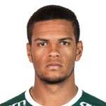 https://img.heibaitiyu.cn/img/football/player/1495e63fc811824f02fd7fba9d254b1f.png