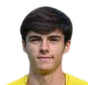 https://img.heibaitiyu.cn/img/football/player/1851536a06b2017549c523ea63ddc57b.png