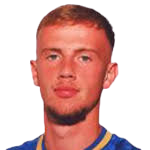 https://img.heibaitiyu.cn/img/football/player/1ea502df31a0fd652a9f6c4223713521.png