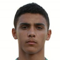https://img.heibaitiyu.cn/img/football/player/3321b93d121e13a240b6b08e719314d2.png