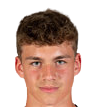 https://img.heibaitiyu.cn/img/football/player/33703aacde33eed86b2e4752fd675d6e.png