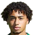 https://img.heibaitiyu.cn/img/football/player/347a6d58ae7ec0425a4d42bc9215c411.png
