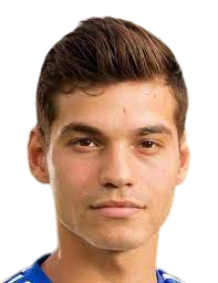 https://img.heibaitiyu.cn/img/football/player/450507a735f2e6512dfd9fd29c513496.png