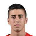 https://img.heibaitiyu.cn/img/football/player/58ea8201b780d463ed9d9c54005a6969.png