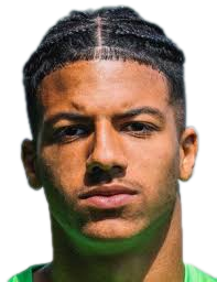 https://img.heibaitiyu.cn/img/football/player/9d19e8105f21de966d2bd3d37a69a199.png