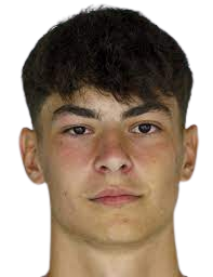 https://img.heibaitiyu.cn/img/football/player/9fd725e2a65792eee1a2c1869ea9c684.png