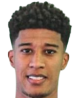 https://img.heibaitiyu.cn/img/football/player/a6ea4c101369a75627e03b16910f3b6c.png