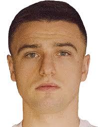 https://img.heibaitiyu.cn/img/football/player/b3ffc6798c368d498f2e589e80483b6a.jpg
