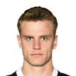 https://img.heibaitiyu.cn/img/football/player/cab5b32a13cec7669c4db2130d59b28c.jpg