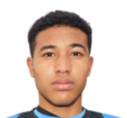 https://img.heibaitiyu.cn/img/football/player/d7bc71cad19fb7019c0a27186d554ad5.png