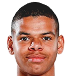 https://img.heibaitiyu.cn/img/football/player/ddb62e89f30b23928fc1e94f52f98a33.png