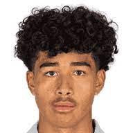 https://img.heibaitiyu.cn/img/football/player/f07b040db42157ac0f5955af9744f895.png