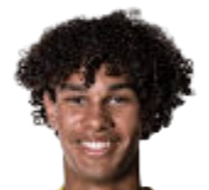 https://img.heibaitiyu.cn/img/football/player/f9a56b67786c0f8fb220f6bf370b286d.png