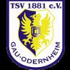 https://img.heibaitiyu.cn/img/football/team/0425718c842cc1330a6507bdde3c1da4.png