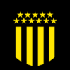https://img.heibaitiyu.cn/img/football/team/68b4fd9f62681acaf82ffd68ad2f51f2.png