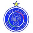 https://img.heibaitiyu.cn/img/football/team/8363baf7f19dca845581f1d64de9908c.png