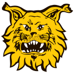 https://img.heibaitiyu.cn/img/football/team/9f170a9ffc15b4141b790f4ff042cc51.png