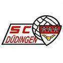 https://img.heibaitiyu.cn/img/football/team/b1f62fa99de9f27a048344d55c5ef7a6.jpg